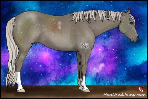 Horse Color:Silver Smoky Black 