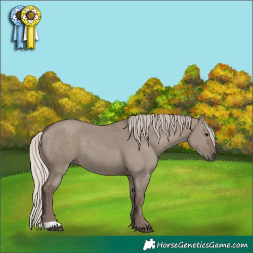 Horse Color:Silver Grullo 