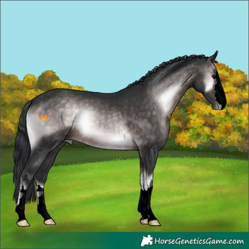 Horse Color:Void Platinum Brown Onyx 