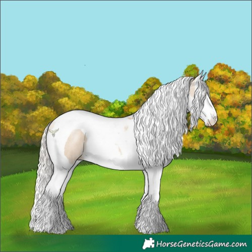 Horse Color:Silver Buckskin Pearl Sabino Splash Tobiano 