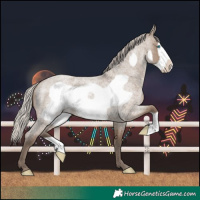 Horse Color:Silver Grullo Roan Frame 