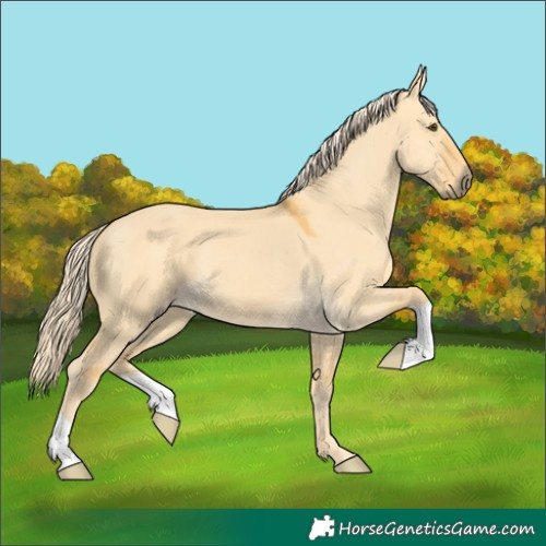 Horse Color:Palomino Dun 