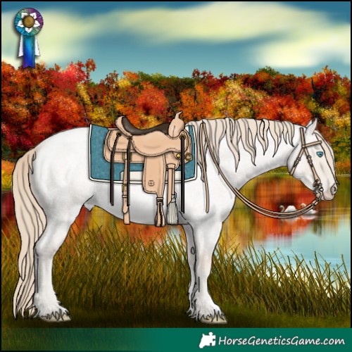 Horse Color:Smoky Creme Roan Dun 