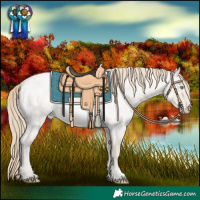Horse Color:Smoky Creme Roan Dun 
