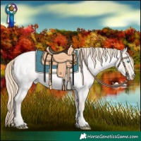 Horse Color:Smoky Creme Roan Dun 