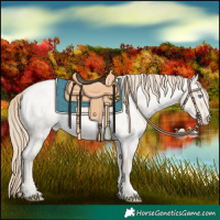 Horse Color:Smoky Creme Roan Dun 