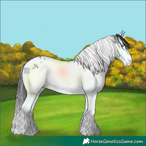 Horse Color:Black Ice Splash Tobiano 
