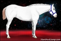 Horse Color:Bay Frame Appaloosa