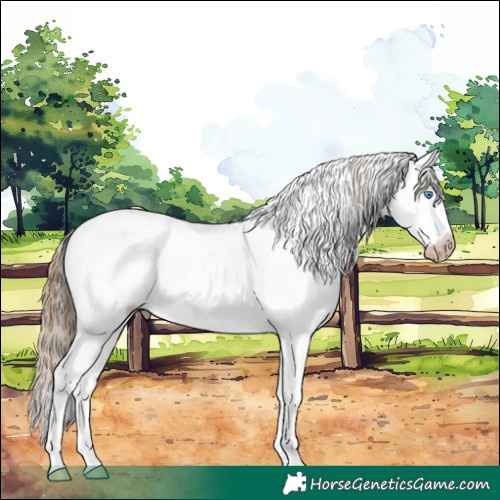 Horse Color:Gray White Spotted Perlino Sabino 
