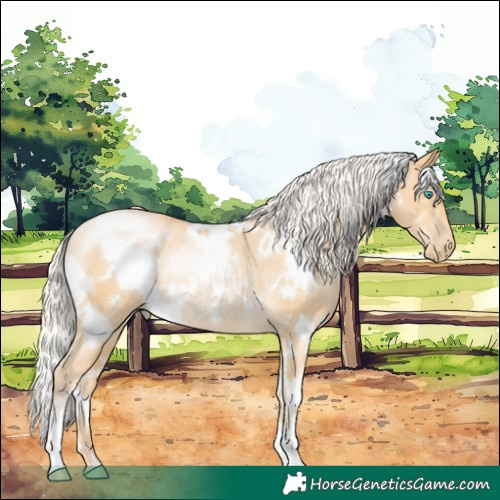 Horse Color:White Spotted Silver Buckskin Pearl Rabicano 