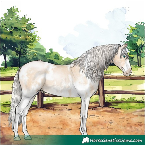Horse Color:White Spotted Silver Smoky Black Pearl Rabicano 