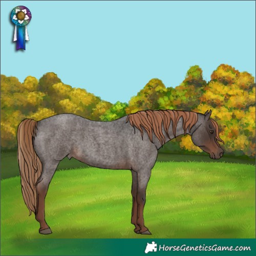 Horse Color:Liver Red Roan 