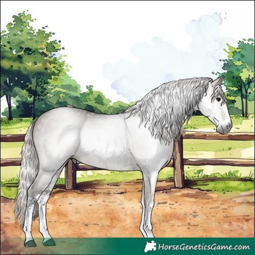 Horse Color:Gray White Spotted Silver Grullo Rabicano 