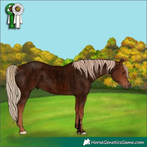 Horse Color:Void Red Roan Sabino 