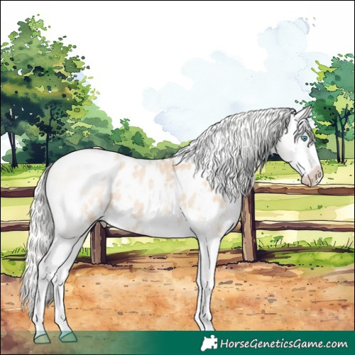 Horse Color:White Spotted Silver Smoky Black Pearl Splash Appaloosa Rabicano 