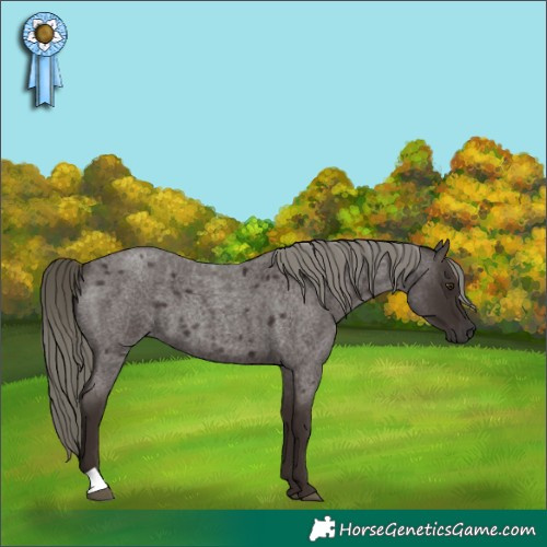 Horse Color:Liver Red Roan Mushroom 