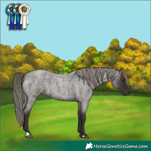 Horse Color:Liver Red Roan Mushroom 