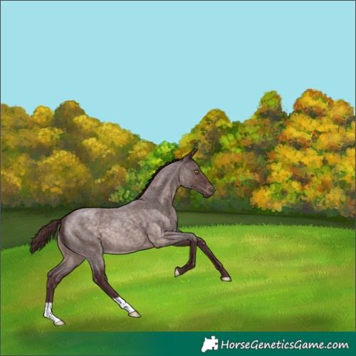 Horse Color:Platinum Chocolate Brown Roan