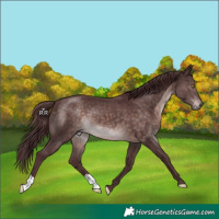 Horse Color:Platinum Chocolate Brown 