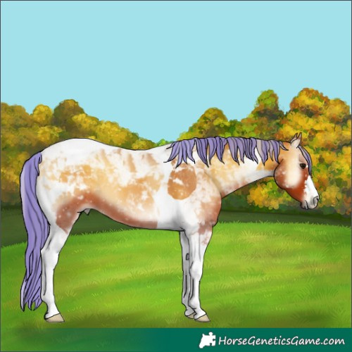 Horse Color:Painted Silver Bay Onyx Tobiano 