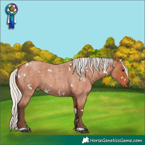 Horse Color:White Spotted Silver Bay Roan 