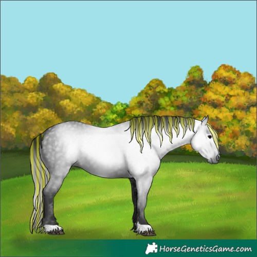 Horse Color:Gray Painted Black 
