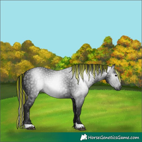 Horse Color:Gray Painted Black 