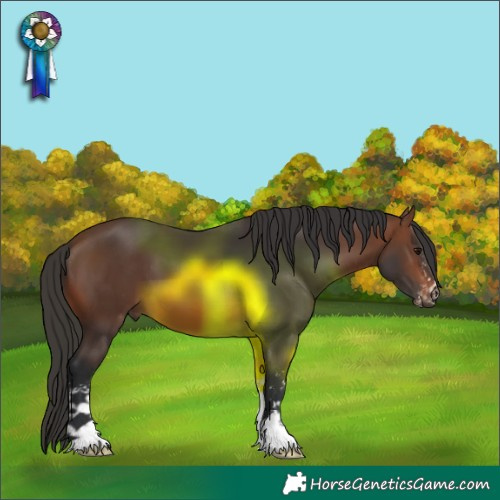 Horse Color:Brown Sabino 