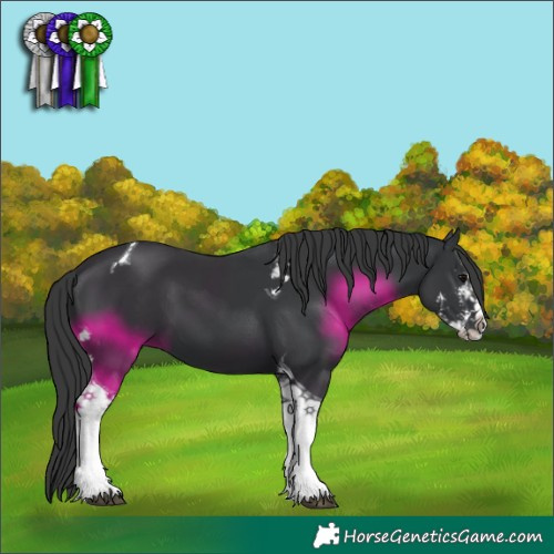 Horse Color:Black Sabino Tobiano 