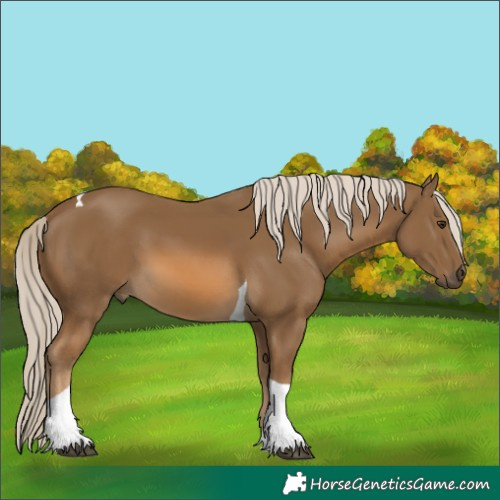 Horse Color:Chocolate Palomino Tobiano 