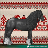 Horse Color:Black 