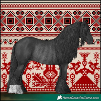 Horse Color:Black Rabicano