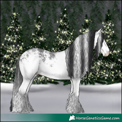 Horse Color:White Spotted Black