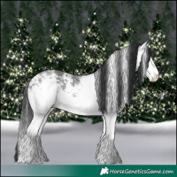 Horse Color:White Spotted Black