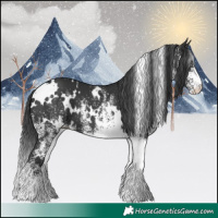 Horse Color:White Spotted Black
