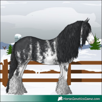 Horse Color:White Spotted Black 