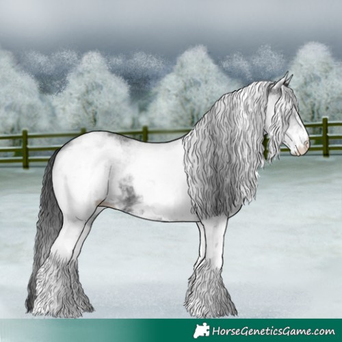 Horse Color:White Spotted Black