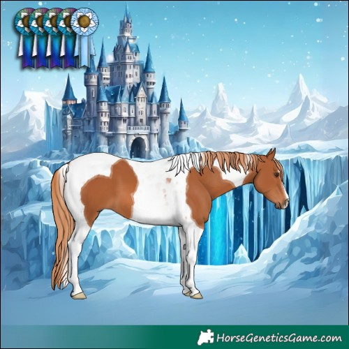 Horse Color:Chestnut Tobiano 