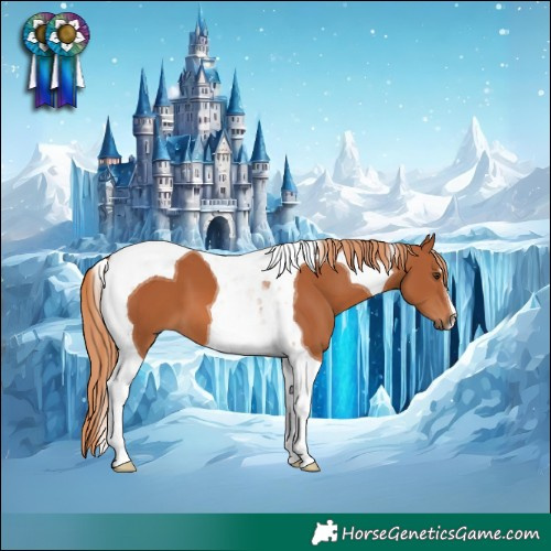 Horse Color:Chestnut Tobiano 