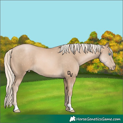 Horse Color:Chocolate Palomino Pearl 