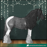Horse Color:Black Tobiano