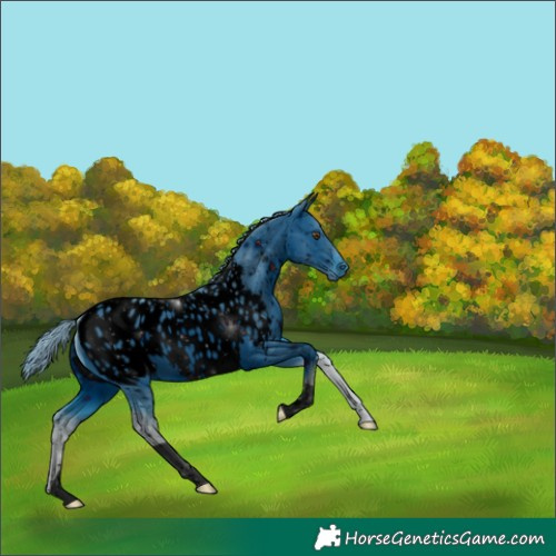 Horse Color:ERROR: UNKNOWN ANOMALY