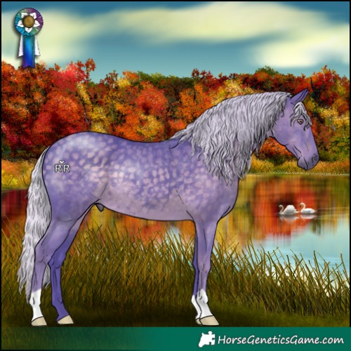 Horse Color:Watercolor Silver Black Chinchilla 