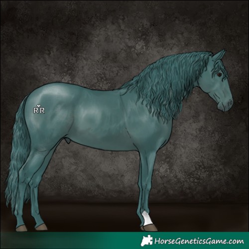Horse Color:Watercolor Smoky Black 