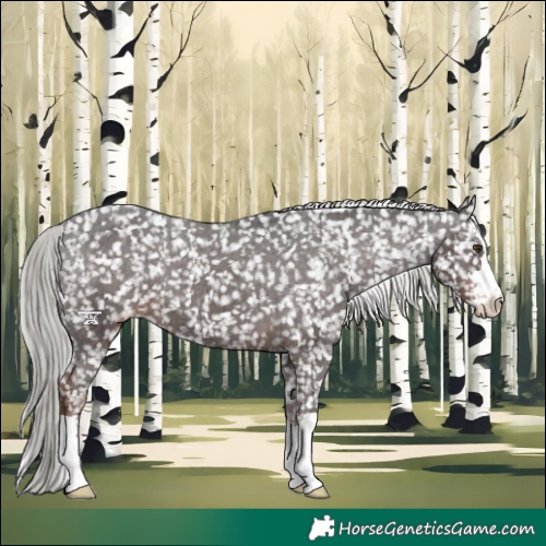 Horse Color:Liver Chestnut Mushroom Snowflake Varnish 