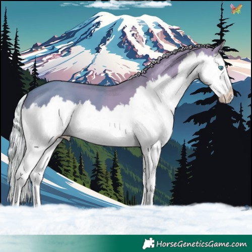 Horse Color:Silver Amber Cream Champagne Dun Splash 