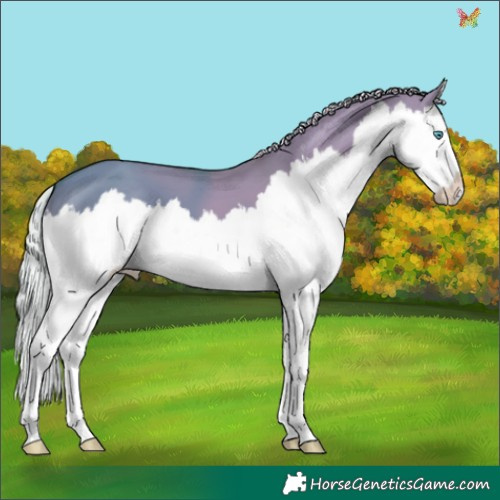 Horse Color:Silver Amber Cream Champagne Dun Splash 