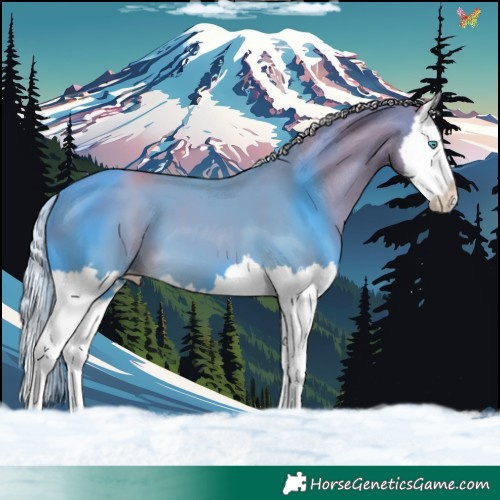 Horse Color:Gold Cream Champagne Splash 