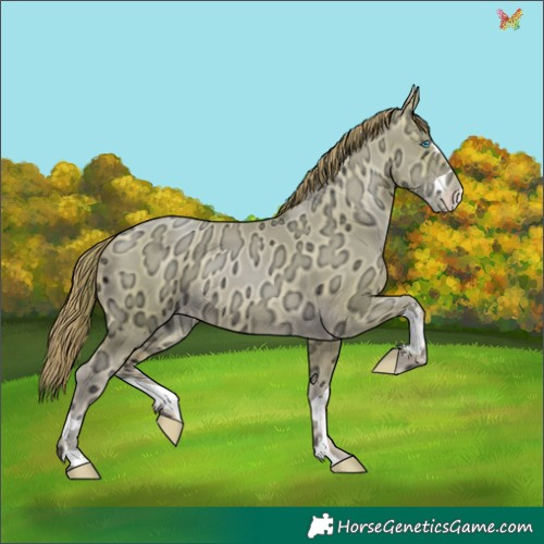 Horse Color:Watercolor Sable Cream Champagne Ice Pearl 