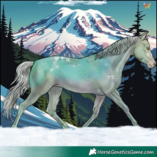Horse Color:Watercolor Silver Sable Champagne 